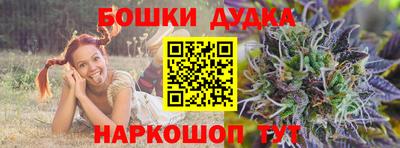 МДПВ Пенза