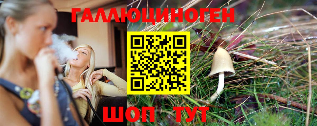 Пенза  наркотики  Вход с VPN  Галлюциногенные грибы мицелий 